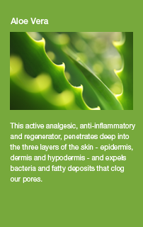 Aloe Vera