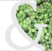 Descargar Dossier de prensa