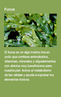 Fucus