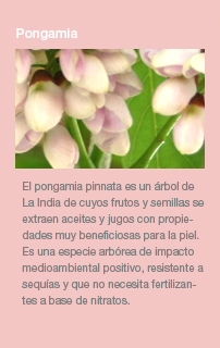 Pongamia